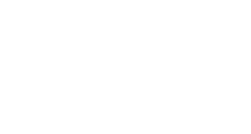 Homines Novi — Impresa Sociale
